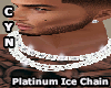 Platinum Ice Chain