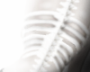 bone