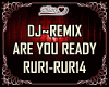 DJ~REMIX ARE U READY