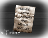 {T} Never give up Poster