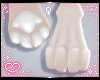 ˏˋ✧ Furry Paws