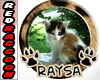 RAYSA Pet Token
