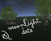 🐾 Moonlight Fireflies