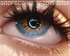 EYE moonbeam