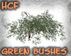 HCF real green bushes #2