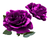 purple glitter rose