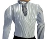 Silver Shirt and Tie