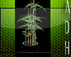 ADH~ Viper plant