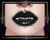!T! Piercings | Multi