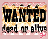 Wanted Wolvy