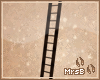 M:: Ladder