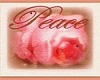 ART& MARRIED ~LOVE