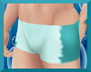 Teal Murrmade Shorts (M)