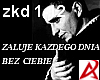 J.Radek - Zaluje Kazdego