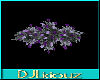 DJL-Roses Deco 3 Purple