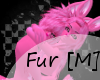 [EP]YummyPink Fur [M]