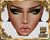 !C Xmas Skin v1 Mocha