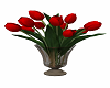 Red Get Well Tulips