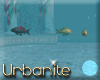 Atlantis Koi Fish School