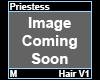 Priestess Hair M V1