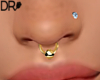 DR- Gold nose piercings