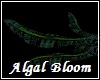 Algal Bloom Floaters