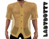 sexy gold mesh shirt