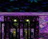 420 Basement Club BUNDLE