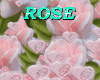 Pink Rose Heart Effect