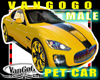 VG Yellow CAR Avi MALE