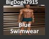 [BD]BlueSwimwear