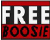 [T] Free Lil Boosie Tee