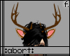 :a: Brown Antlers