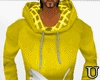 [UqR] Yellow  Hoody