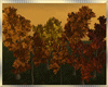Autumn Trees 🍁