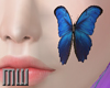 Who| Butterfly Cheek 1