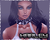 ! Snowy Bundle RLS W