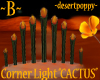 ~B~ Cactus Corner Lamp