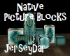 Native Picture Blocks