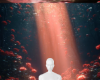 梦境花园