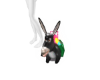 PVC Donkey [3DS]