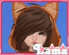 Kids Neko Cat Outfit adorable neko kitten so adorable and lovely