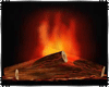 Ex - Fireplace Fire