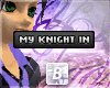 My Knight In-
