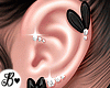 B🐰 Bunny Earrings Bk