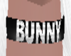 [FS] Bunny 8