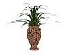 Tropical Vase Plant
