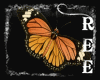 -ȵ- Butterfly Enhancer