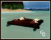(GD) Beach log raft