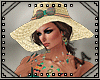 Tina Beach Bundle